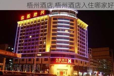 梧州酒店,梧州酒店入住哪家好-第2张图片-呼呼旅行网