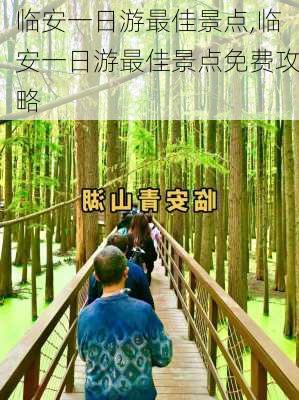 临安一日游最佳景点,临安一日游最佳景点免费攻略-第2张图片-呼呼旅行网