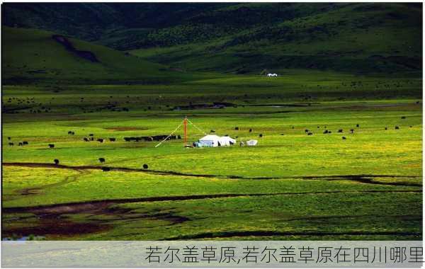 若尔盖草原,若尔盖草原在四川哪里-第3张图片-呼呼旅行网