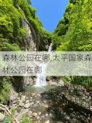 森林公园在哪,太平国家森林公园在哪-第2张图片-呼呼旅行网