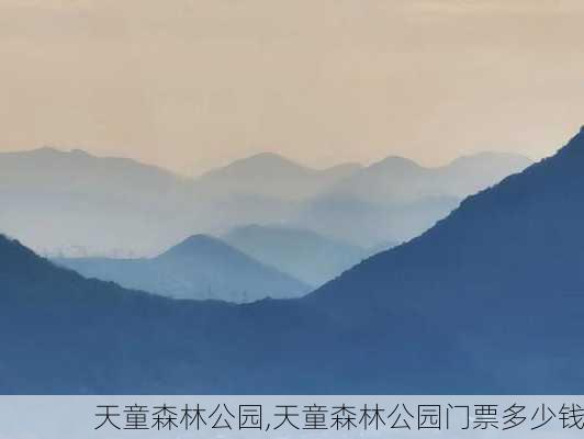 天童森林公园,天童森林公园门票多少钱-第2张图片-呼呼旅行网