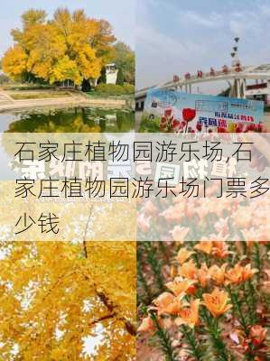 石家庄植物园游乐场,石家庄植物园游乐场门票多少钱-第1张图片-呼呼旅行网