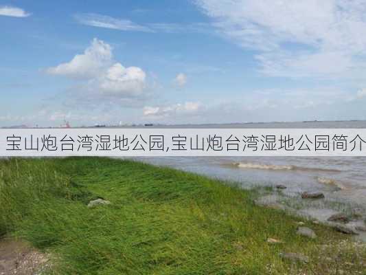 宝山炮台湾湿地公园,宝山炮台湾湿地公园简介-第1张图片-呼呼旅行网