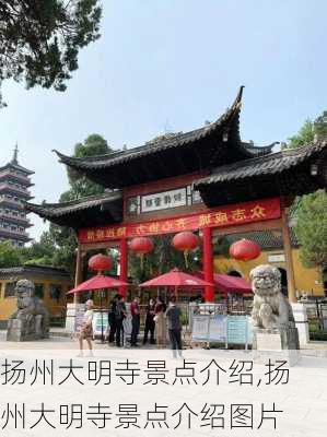 扬州大明寺景点介绍,扬州大明寺景点介绍图片-第3张图片-呼呼旅行网