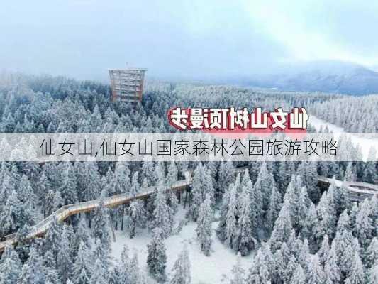 仙女山,仙女山国家森林公园旅游攻略-第2张图片-呼呼旅行网