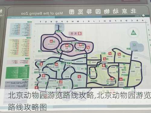 北京动物园游览路线攻略,北京动物园游览路线攻略图-第1张图片-呼呼旅行网