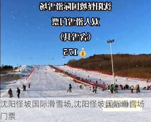 沈阳怪坡国际滑雪场,沈阳怪坡国际滑雪场门票-第1张图片-呼呼旅行网