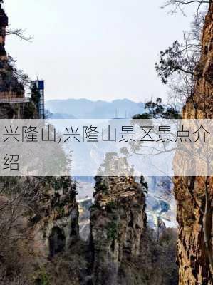 兴隆山,兴隆山景区景点介绍-第3张图片-呼呼旅行网