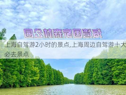 上海自驾游2小时的景点,上海周边自驾游十大必去景点-第2张图片-呼呼旅行网