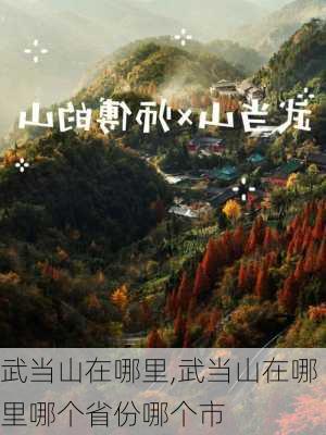 武当山在哪里,武当山在哪里哪个省份哪个市-第1张图片-呼呼旅行网