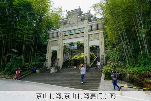 茶山竹海,茶山竹海要门票吗-第3张图片-呼呼旅行网