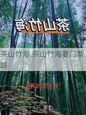 茶山竹海,茶山竹海要门票吗-第1张图片-呼呼旅行网