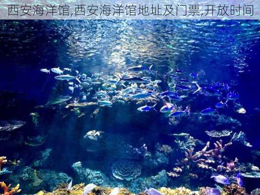 西安海洋馆,西安海洋馆地址及门票,开放时间-第2张图片-呼呼旅行网