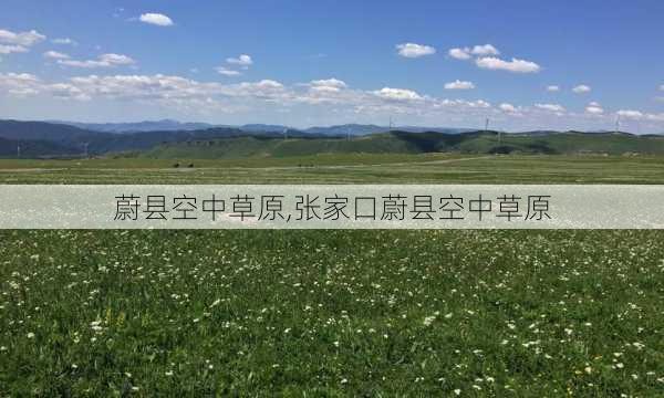 蔚县空中草原,张家口蔚县空中草原-第1张图片-呼呼旅行网