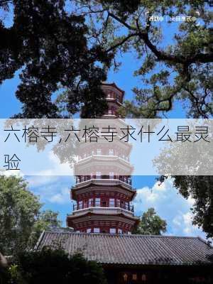 六榕寺,六榕寺求什么最灵验-第3张图片-呼呼旅行网