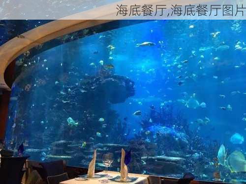 海底餐厅,海底餐厅图片-第3张图片-呼呼旅行网