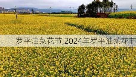 罗平油菜花节,2024年罗平油菜花节-第2张图片-呼呼旅行网