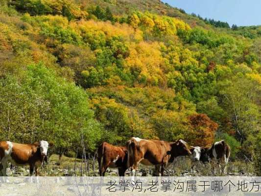 老掌沟,老掌沟属于哪个地方-第2张图片-呼呼旅行网