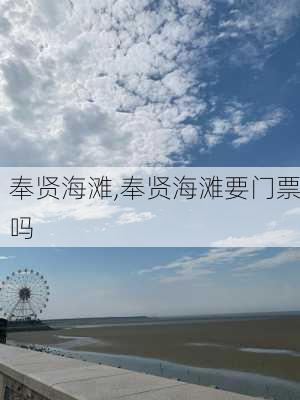 奉贤海滩,奉贤海滩要门票吗-第2张图片-呼呼旅行网