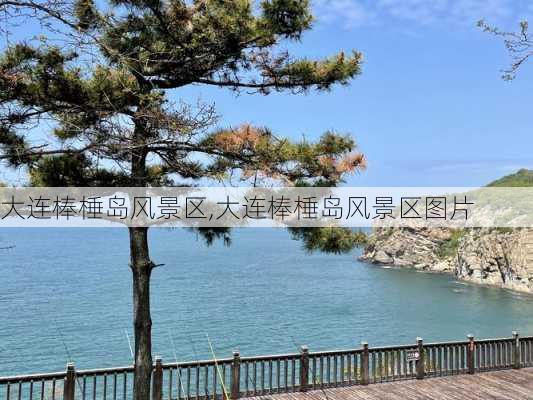 大连棒棰岛风景区,大连棒棰岛风景区图片-第2张图片-呼呼旅行网