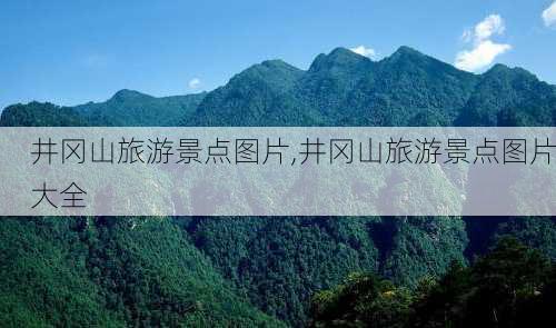 井冈山旅游景点图片,井冈山旅游景点图片大全-第3张图片-呼呼旅行网