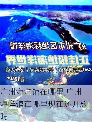 广州海洋馆在哪里,广州海洋馆在哪里现在还开放吗-第1张图片-呼呼旅行网