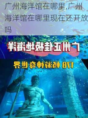 广州海洋馆在哪里,广州海洋馆在哪里现在还开放吗-第2张图片-呼呼旅行网