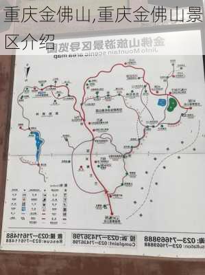 重庆金佛山,重庆金佛山景区介绍-第1张图片-呼呼旅行网