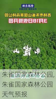 朱雀国家森林公园,朱雀国家森林公园 天气预报-第2张图片-呼呼旅行网