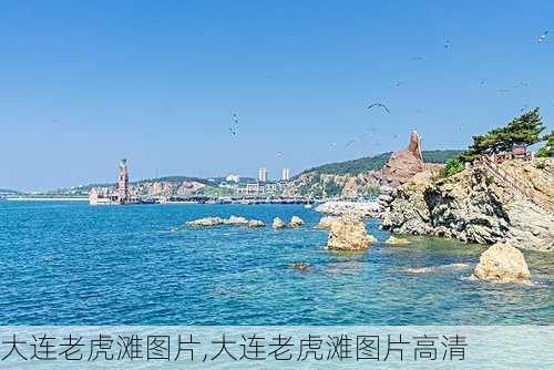 大连老虎滩图片,大连老虎滩图片高清-第2张图片-呼呼旅行网