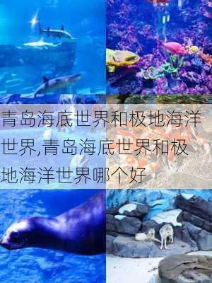 青岛海底世界和极地海洋世界,青岛海底世界和极地海洋世界哪个好-第2张图片-呼呼旅行网