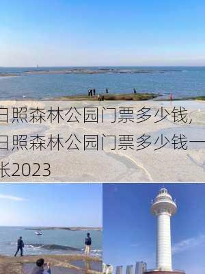 日照森林公园门票多少钱,日照森林公园门票多少钱一张2023-第3张图片-呼呼旅行网