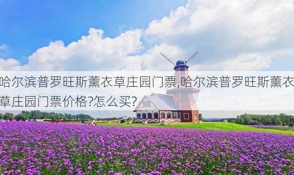 哈尔滨普罗旺斯薰衣草庄园门票,哈尔滨普罗旺斯薰衣草庄园门票价格?怎么买?-第1张图片-呼呼旅行网