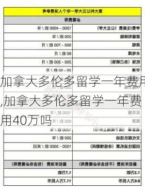 加拿大多伦多留学一年费用,加拿大多伦多留学一年费用40万吗-第3张图片-呼呼旅行网