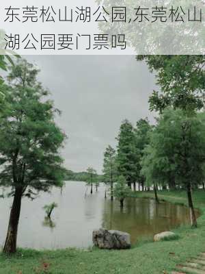 东莞松山湖公园,东莞松山湖公园要门票吗-第3张图片-呼呼旅行网