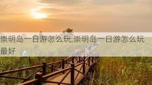 崇明岛一日游怎么玩,崇明岛一日游怎么玩最好-第3张图片-呼呼旅行网