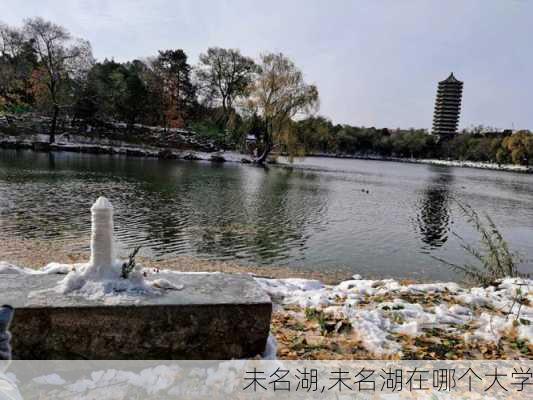 未名湖,未名湖在哪个大学-第2张图片-呼呼旅行网