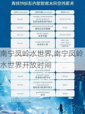 南宁凤岭水世界,南宁凤岭水世界开放时间-第2张图片-呼呼旅行网