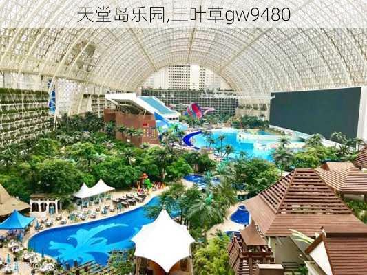 天堂岛乐园,三叶草gw9480-第1张图片-呼呼旅行网