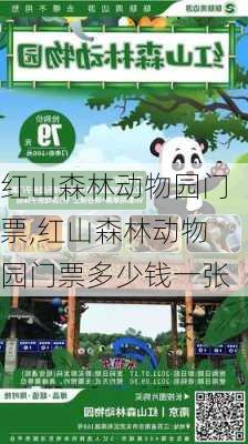 红山森林动物园门票,红山森林动物园门票多少钱一张-第2张图片-呼呼旅行网