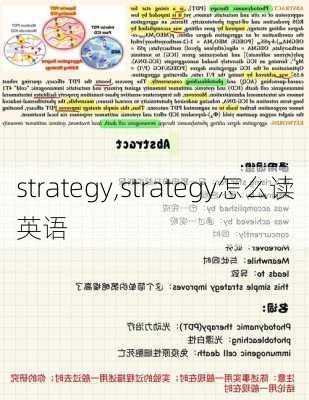 strategy,strategy怎么读英语-第3张图片-呼呼旅行网