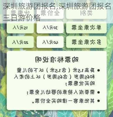 深圳旅游团报名,深圳旅游团报名三日游价格-第3张图片-呼呼旅行网