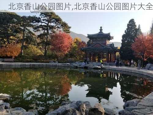 北京香山公园图片,北京香山公园图片大全-第1张图片-呼呼旅行网