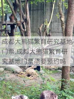 成都大熊猫繁育研究基地门票,成都大熊猫繁育研究基地门票需要预约吗-第2张图片-呼呼旅行网