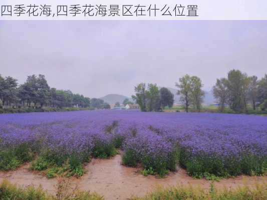 四季花海,四季花海景区在什么位置-第3张图片-呼呼旅行网