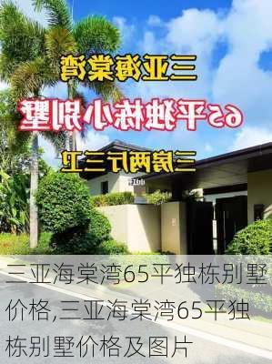 三亚海棠湾65平独栋别墅价格,三亚海棠湾65平独栋别墅价格及图片-第2张图片-呼呼旅行网