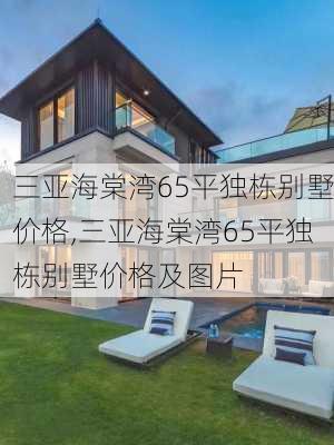 三亚海棠湾65平独栋别墅价格,三亚海棠湾65平独栋别墅价格及图片-第1张图片-呼呼旅行网