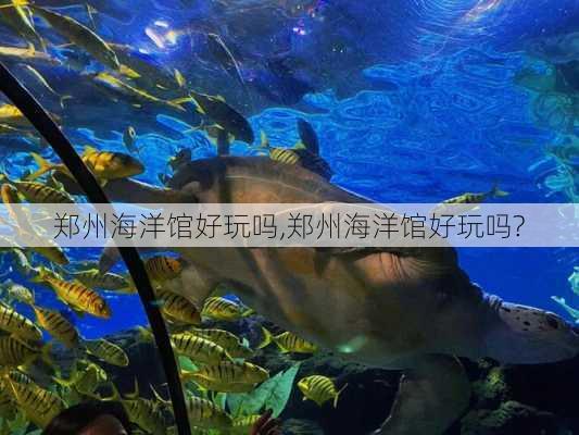 郑州海洋馆好玩吗,郑州海洋馆好玩吗?-第2张图片-呼呼旅行网