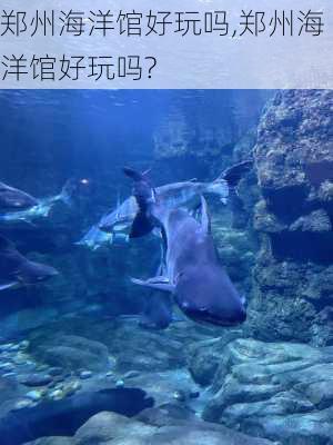 郑州海洋馆好玩吗,郑州海洋馆好玩吗?-第3张图片-呼呼旅行网