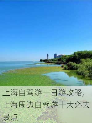 上海自驾游一日游攻略,上海周边自驾游十大必去景点